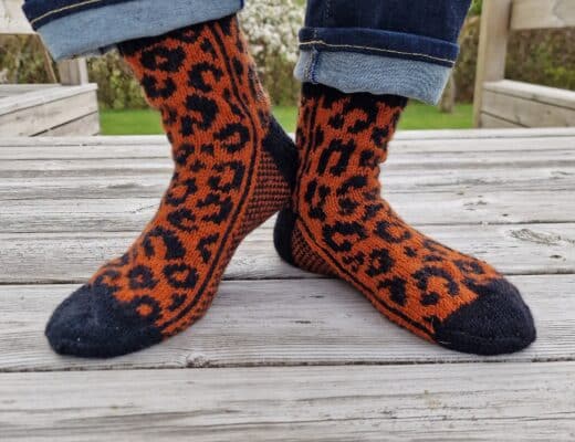 Sockan Leo
